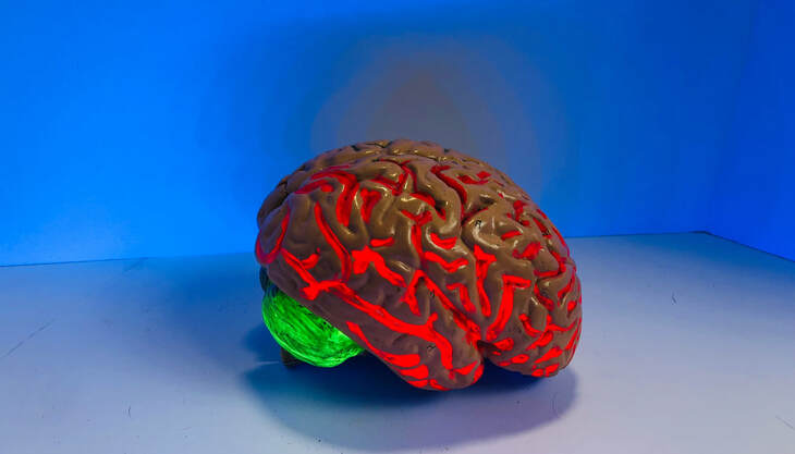human brain glowing red and green